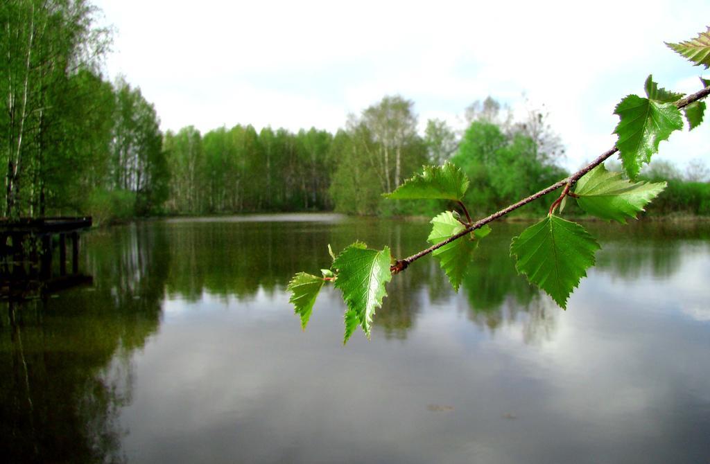 Haemeenkylaen Kartano Vantaa Luaran gambar
